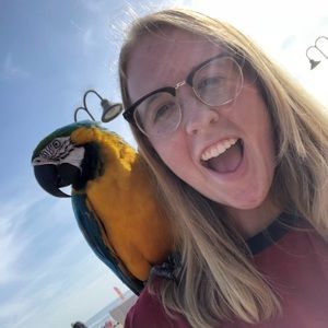 Meet your Posher, Sydney